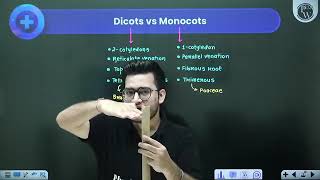 Anatomy of Flowering Plants 04  Dicot Root vs Monocot Root  NO DPPmp4 subscribe [upl. by Frisse]