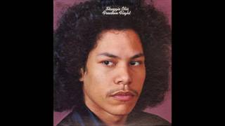 Shuggie Otis  Freedom Flight [upl. by Amhser]