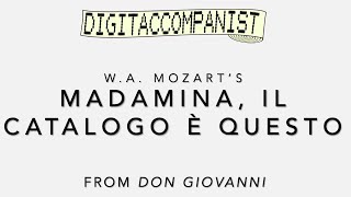 Madamina il catalogo è questo – Digital Accompaniment [upl. by Aeht205]