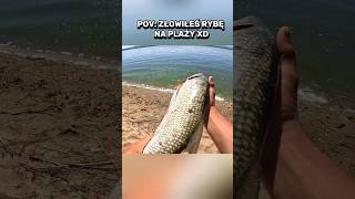 Nie każdy musi się znać na rybach ale uśmiechnąć się można 🤠 fishing spinning wedkarstwo bolen [upl. by Sailesh681]