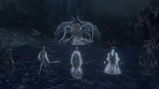 Ebrietas Daugher of the Cosmos VS Arcane Squad Bloodborne Boss VS Boss Mod [upl. by Juta]