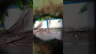 barish hoga Chennai [upl. by Ueihtam398]