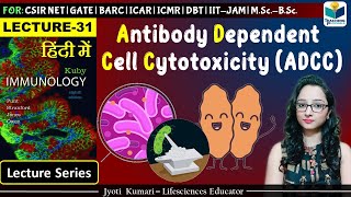 Immunology Antibody Dependent Cell Cytotoxicity ADCC  Lecture31 [upl. by Katinka]