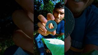 Amazing Experiment camping trap survival outdoors survivalbogura experiment lifehack [upl. by Nimajneb]