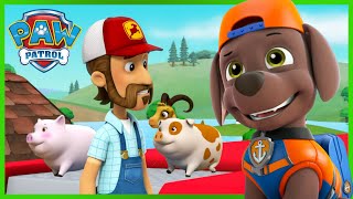 Les chiots sauvent les animaux et la ferme inondée  PAW Patrol dessins animés pour enfants [upl. by Akinad]