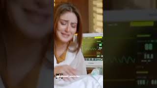 Danish taimoor and hiba bukhari jaannisaar trending viralshort [upl. by Aicilegna]