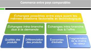 Les échanges commerciaux internationaux entre pays comparables [upl. by Releehw]