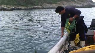 Pescadores de la Caleta de Zapallar [upl. by Burget]