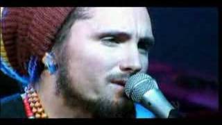 John Butler Trio  Good Excuse live at Federation Square [upl. by Heinrike]