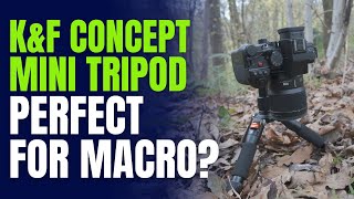 A Perfect Tripod For Macro KampF Concept Desktop Mini Tripod Review [upl. by Erehc692]