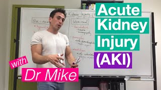 Acute Kidney Injury AKI [upl. by Mccomb]