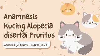 Anamnesis Kucing Alopecia disertai Pruritus [upl. by Atinrev517]