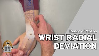 ROM Wrist Radial Deviation Range of Motion [upl. by Follansbee]