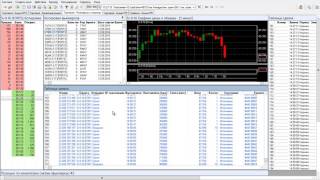 MetaTrader 5 vs QUIK Latency [upl. by Culley]