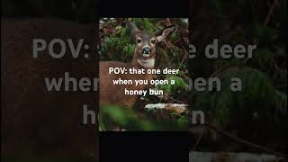 That one deer when the honey bun wrapper crunches [upl. by Etnovaj]