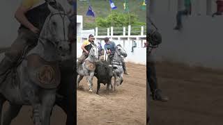 Copia Proibida CLIP OFICIAL  José De Gado O Vaqueiro Testado [upl. by Anos]