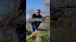 Catching a CHANNEL Catfish in the CHANNEL for the YouTube CHANNEL fishing catfish [upl. by Curt221]