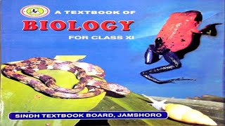 1010 PHYLUM CHORDATA  CHAPTER 10 KINGDOM ANIMALIA  FIRST YEAR BIOLOGY [upl. by Solahcin220]