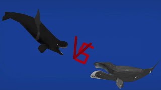 DCBA Livyatan VS Bowhead whale [upl. by Erasmo]