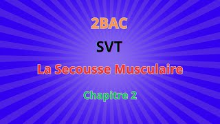 2BACSVT  CH2 Rôle du muscle strié squelettique dans la conv La Secousse Musculaire Isolée [upl. by Nois]