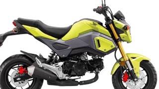 2017 Honda Grom Price and realese date [upl. by Tifanie]