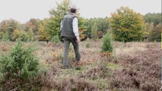 De Tweelingen  boswachterij Hart van Drenthe  Drenthe [upl. by Aros]