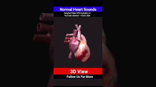 normal heart sounds  heart sound 3d foryou shorts [upl. by Hamel]