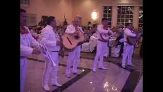 Mariachi Band Surprise at a Wedding [upl. by Polad]