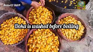 Narr Chohara Pila Chuhara kesy banta h  Detailed information about Yellow Dry Dates of Pakistan [upl. by Frerichs]