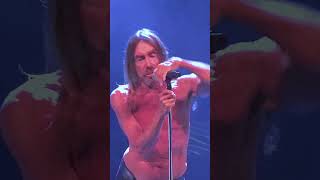 🌟 Iggy Pop — The Passenger live — 2023 [upl. by Skelly]