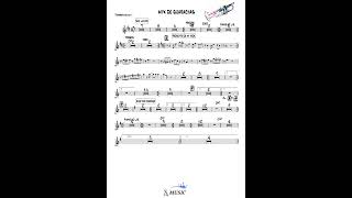 quotMIX DE GUARACHASquot BRUNELLA TORPOCO ORQ TROMPETA 🎺🎼 [upl. by Purington]