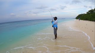 Light Shore Casting for Emperor Fish in Maldives [upl. by Darcy]