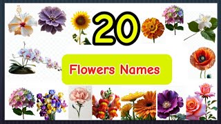 20 Flowers names Flowers names with pictures Flowers names with names and pronunciation [upl. by Casandra324]