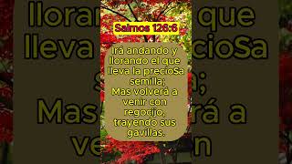 Salmos 1266 versiculobiblico [upl. by Trudy]