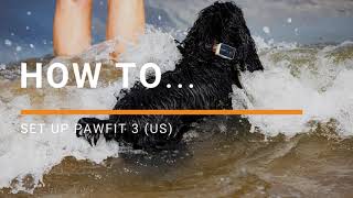 HOW TO Set up Pawfit 3 GPS Tracker US  Pawfit GPS Pet Tracker [upl. by Mart772]