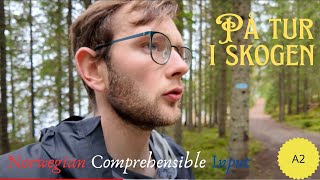 På tur i skogen  Norwegian Comprehensible Input [upl. by Ameehs]