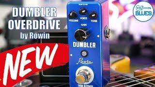 Rowin LEF315 Dumbler Overdrive Pedal [upl. by Pennebaker]