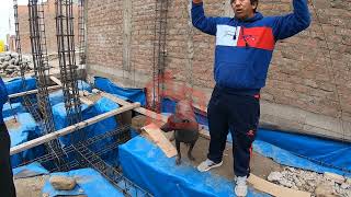 Supervisión cimentación vivienda BarrancaLimaPerú 🚨 👷🚧 [upl. by Aleik72]