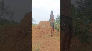 Advance happy New year 2025 rythubidda agriculture comedy [upl. by Ecirtemed]