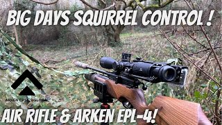 Great Morning of Grey Squirrel Control with Arken Optics EPL4 amp BSA R10 Air Rifle [upl. by Cohdwell]