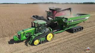 Harvesting Soybeans near Frankfort Indiana [upl. by Chico]