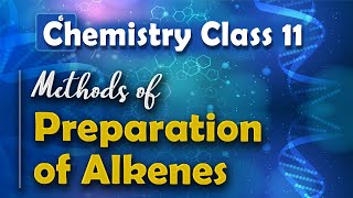 Methods of Preparation of Alkenes  Alkenes  Chemistry Class 11 [upl. by Bowie]