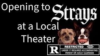 Opening to Strays 2023 Local Theater [upl. by Coleville]