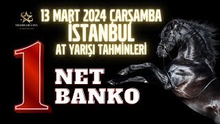 13 Mart 2024 Çarşamba İstanbul At Yarışı Tahminleri [upl. by Eltsirc215]