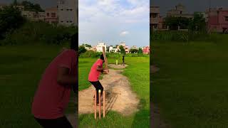 Top spin bowling shorts cricket [upl. by Rooker589]