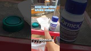 CARA APLIKASI DORMEX anggur anggurimpor Caraaplikasidormex anggurhijau [upl. by Nosnev346]