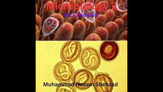 Microbiology ii  Parasitology  Lecture No 3 Malarial parasite Cycle [upl. by Ysnat]