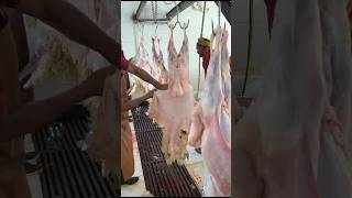 Sheep and goat skins processing sorts viralvideo [upl. by Leipzig]