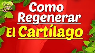 ¿Como Regenerar El Cartilago Desgaste De Cartilago De Rodilla [upl. by Clein]