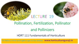 HORT111 Lecture 19 Pollination Fertilization Pollinators and Pollinizer  परागण और निषेचन [upl. by Benji]